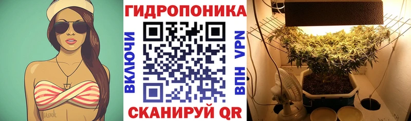 Наркотические вещества Фёдоровский ГАШ  APVP  Меф  МАРИХУАНА 