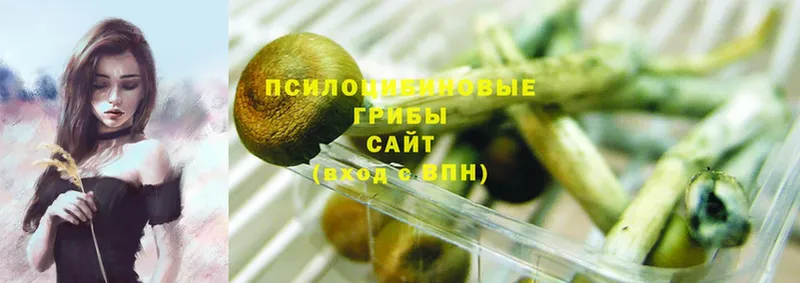 Галлюциногенные грибы Magic Shrooms  Фёдоровский 