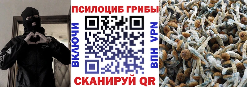 Псилоцибиновые грибы Psilocybe  где купить наркотик  Фёдоровский 