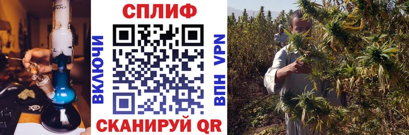 Бошки Шишки план  нарко площадка формула  Фёдоровский  omg онион 