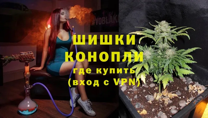 Конопля SATIVA & INDICA  наркотики  Фёдоровский 